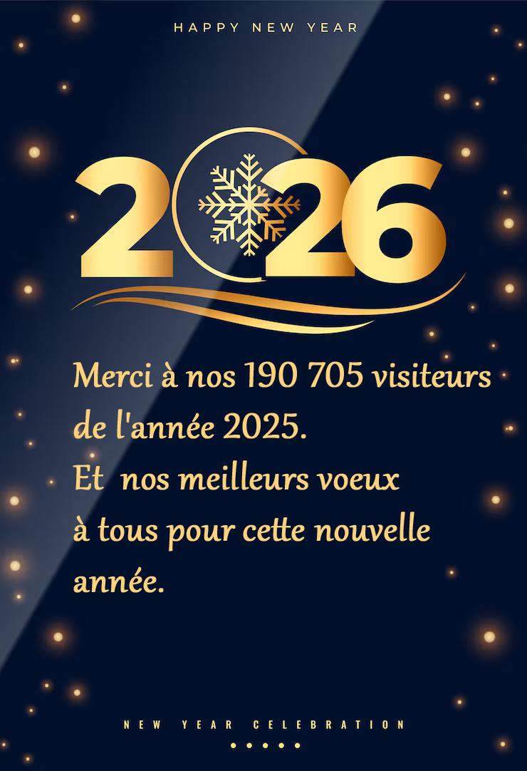 Bonne annee 2026 site
